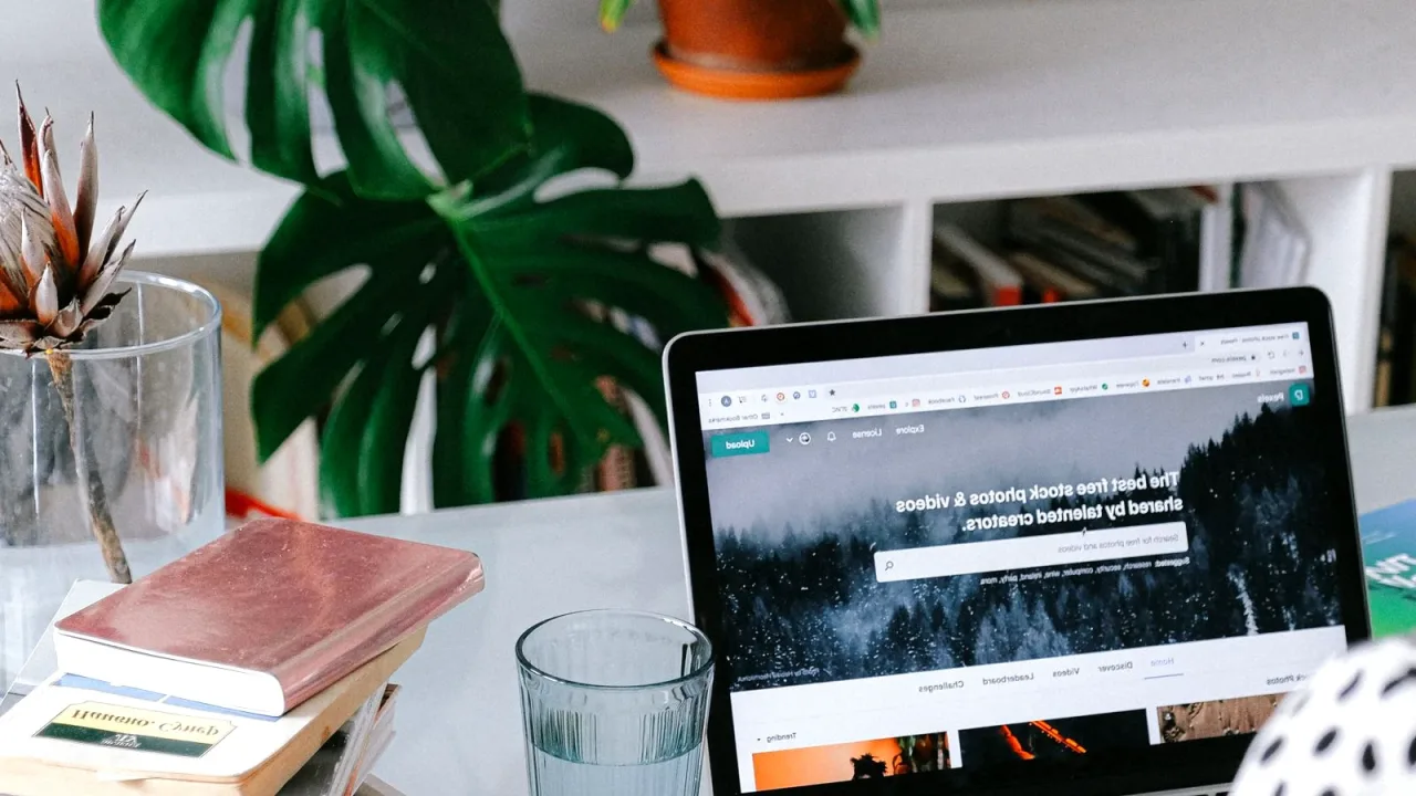 Evde bitkilerle çevrili masada dizüstü bilgisayarla çalışan kadın